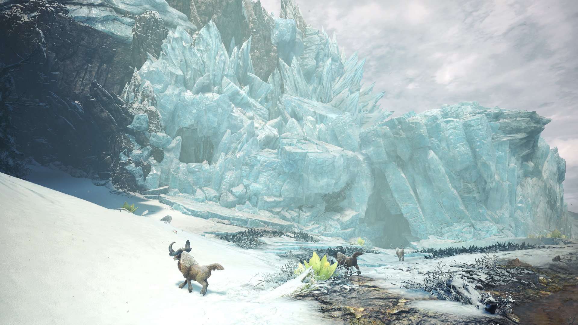 Monster Hunter World: Iceborne - Imagen 2